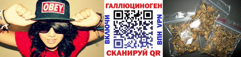 магазин  наркотиков  Любань  Псилоцибиновые грибы мицелий 